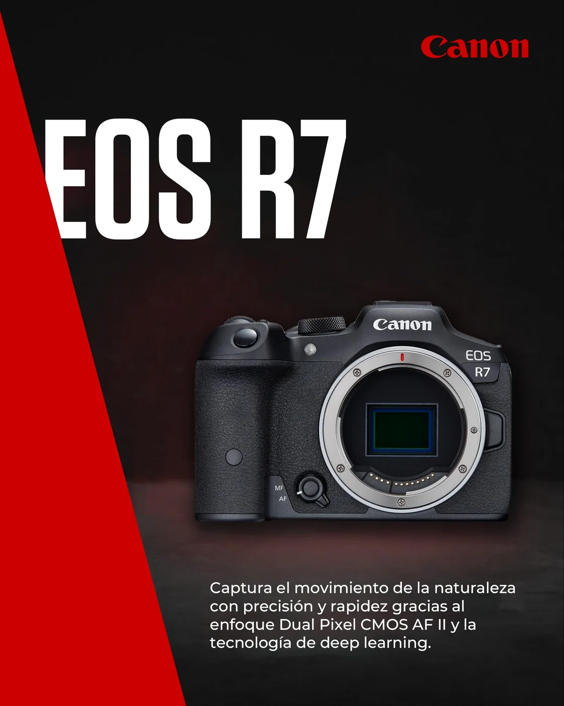Canon EOS R7 — imagen 2