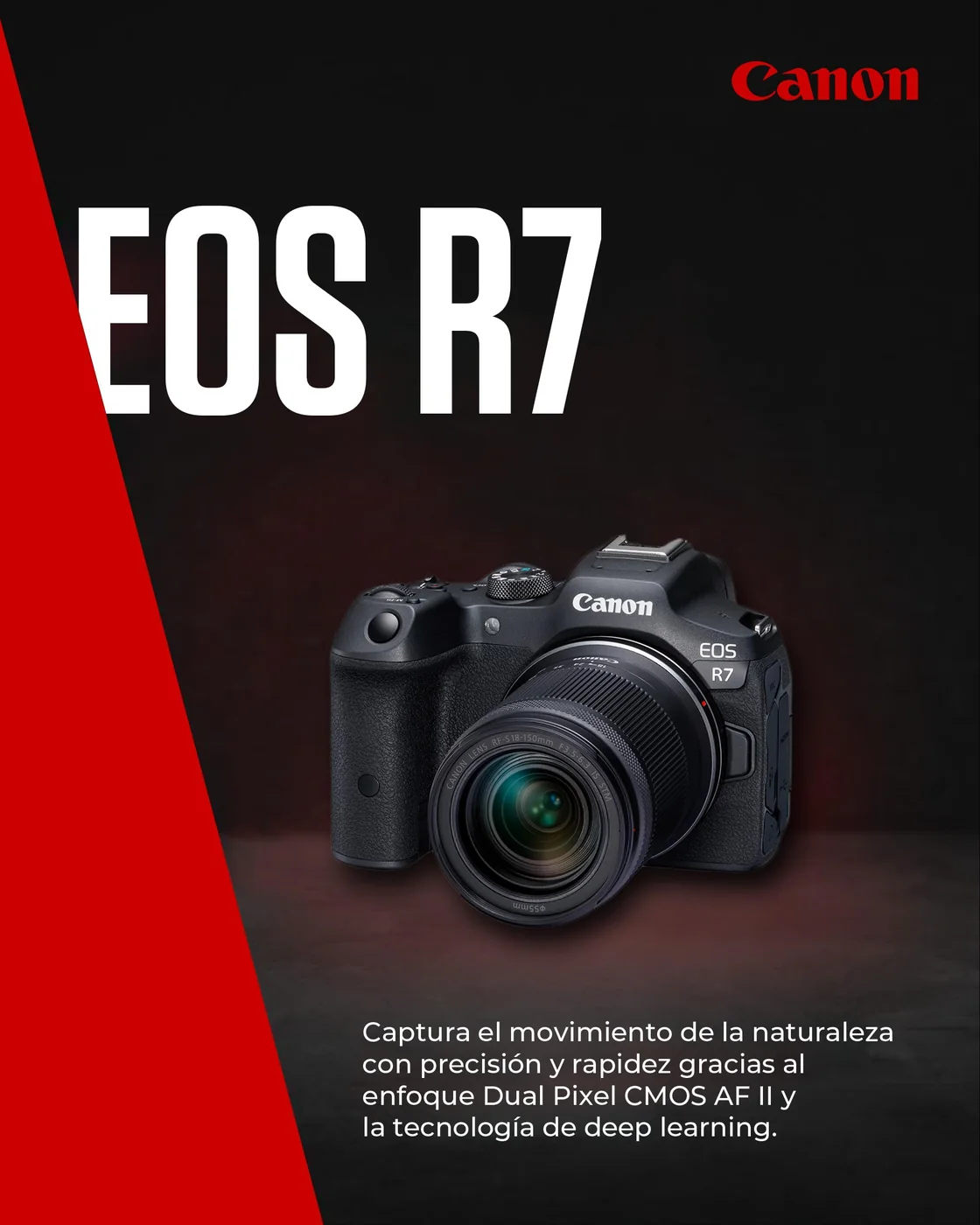 Canon EOS R7 + RF-S 18-150mm F3.5-6.3 IS STM — imagen 2