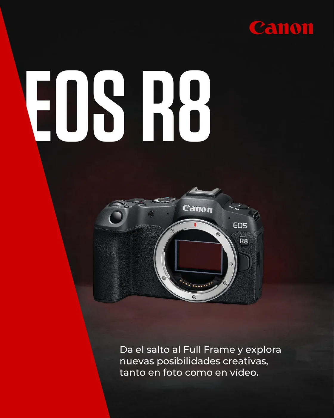 Canon EOS R8 (solo cuerpo) — imagen 2
