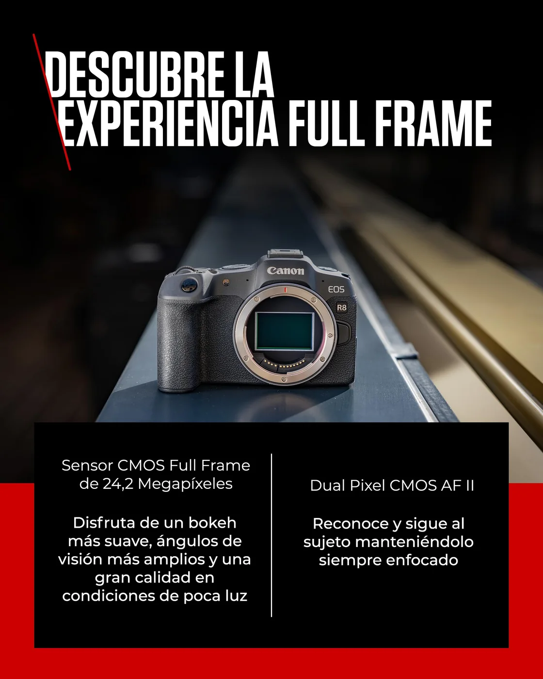 Canon EOS R8 (solo cuerpo) — imagen 3