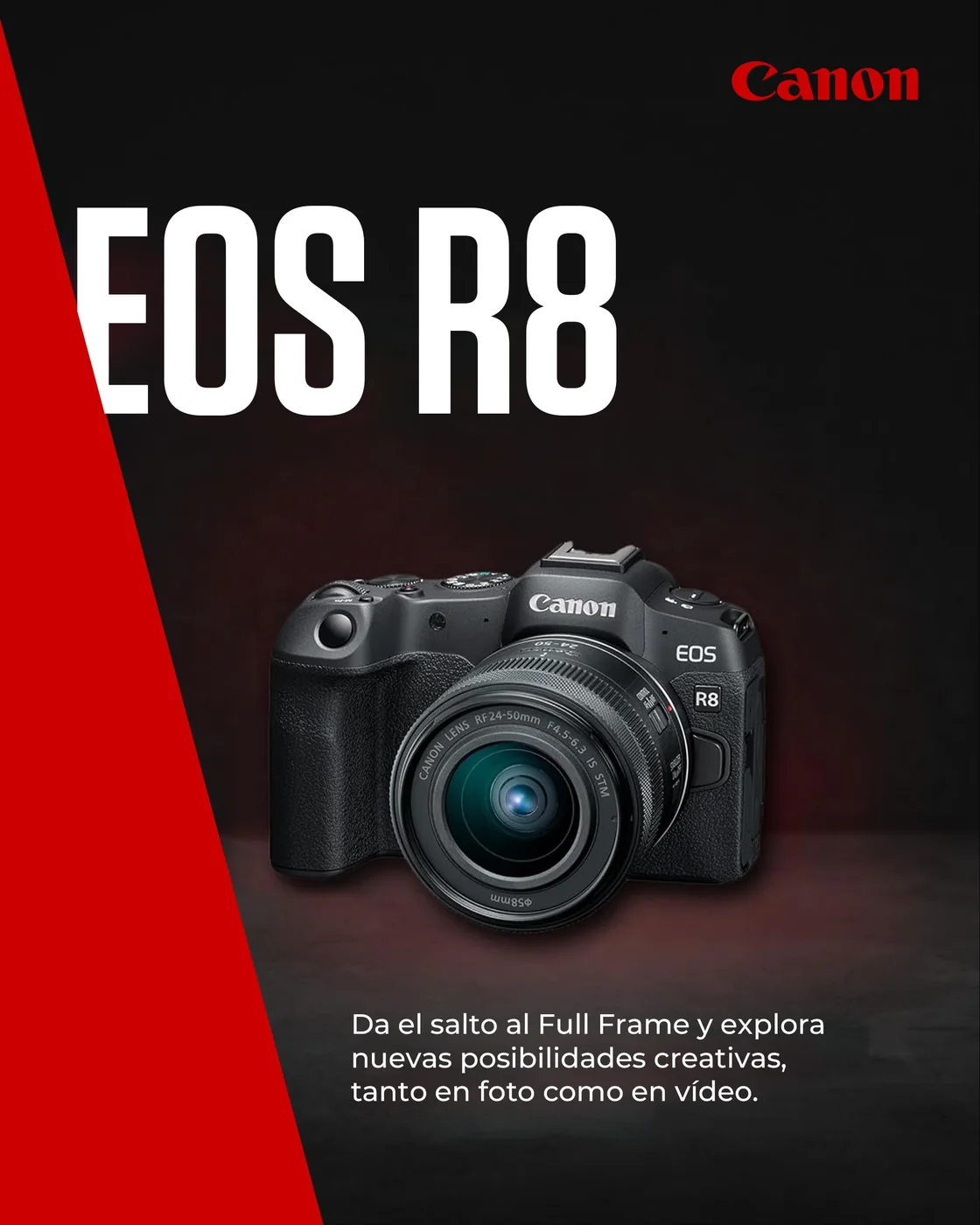 Canon EOS R8 + RF 24-50mm F4.5-6.3 IS STM — imagen 2