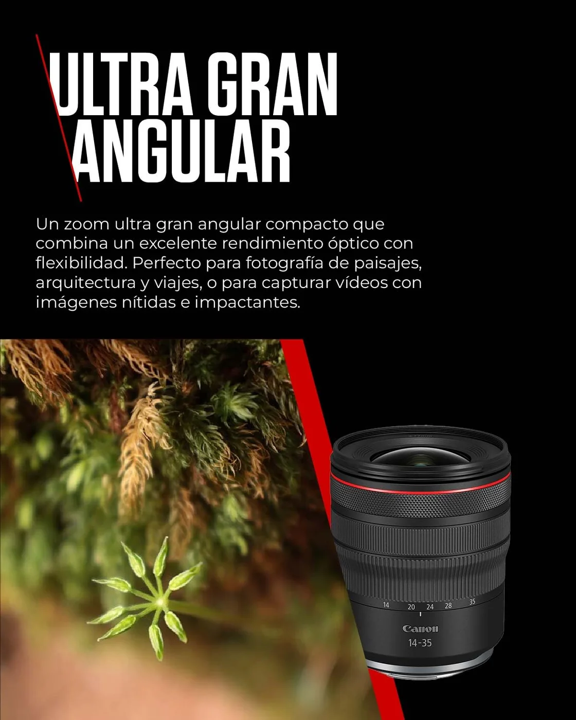 Canon RF 14-35mm F4L IS USM — imagen 3