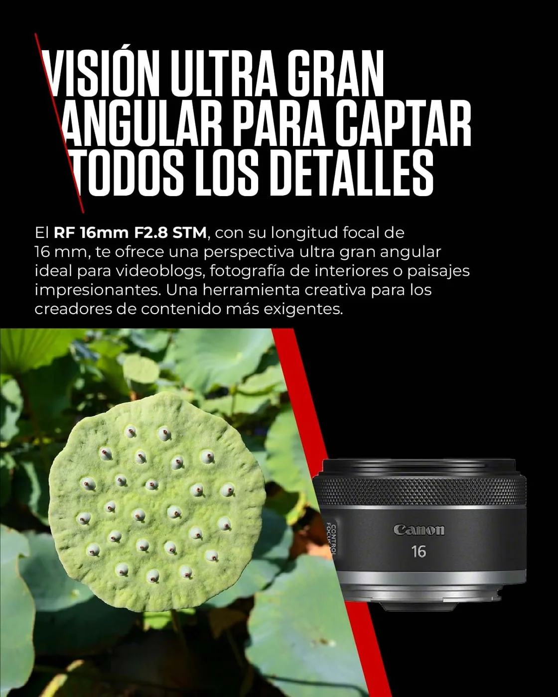 Canon RF 16mm F2.8 STM — imagen 3
