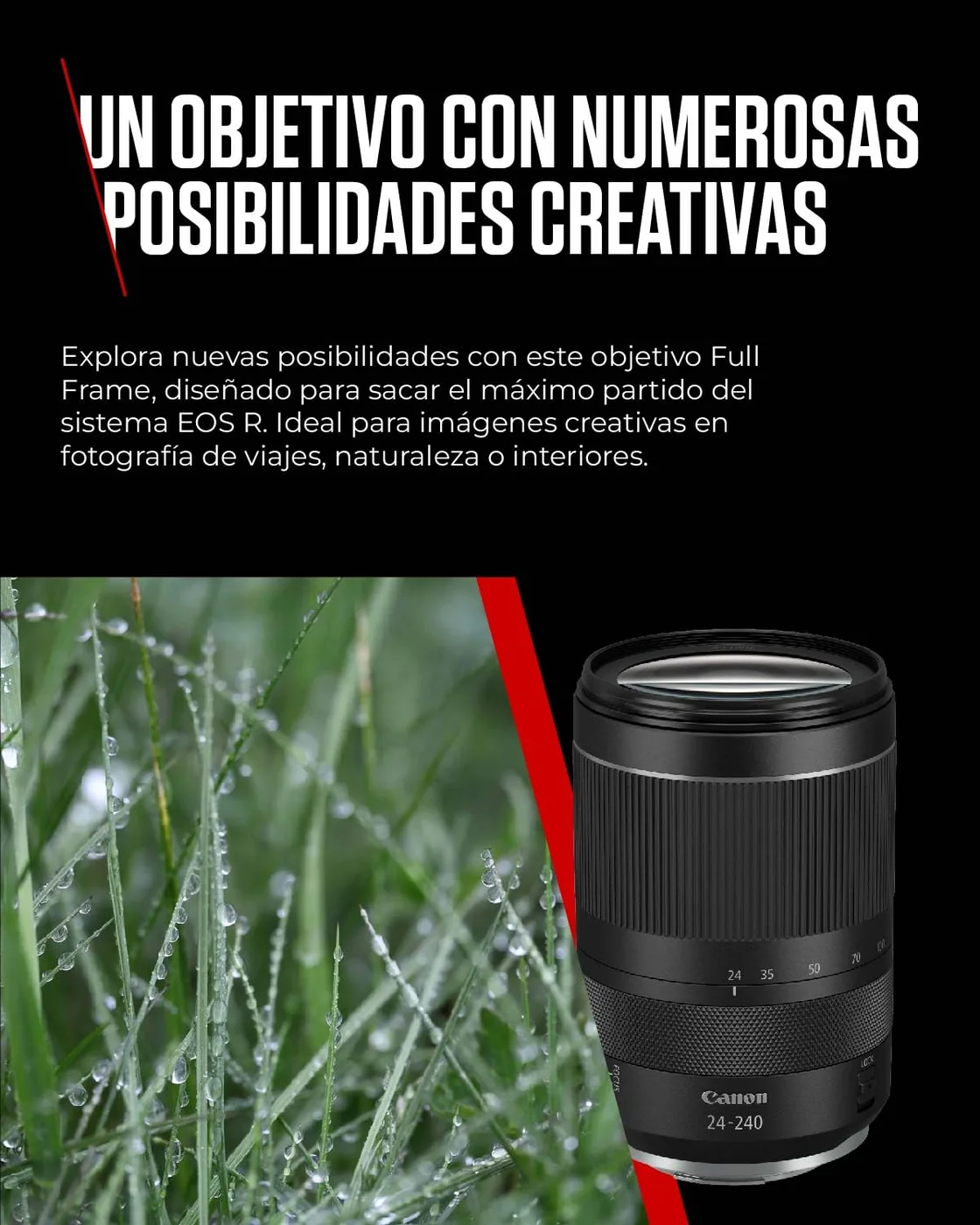 Canon RF 24-240mm F4-6.3 IS USM — imagen 3