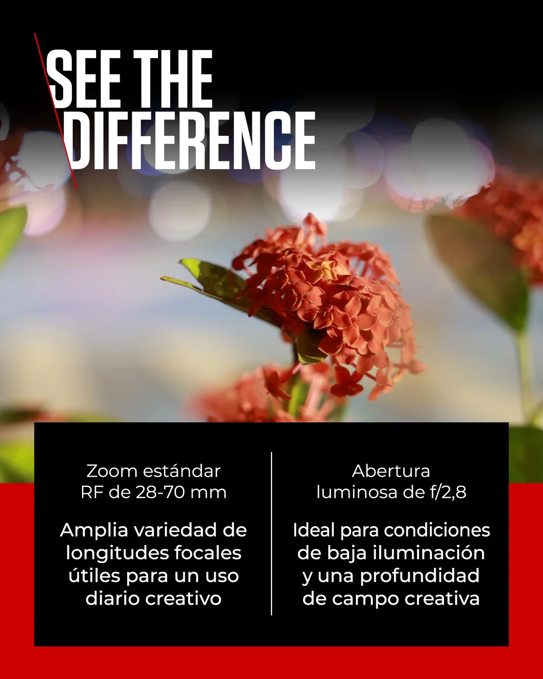 Canon RF 28-70mm F2.8 IS STM — imagen 3