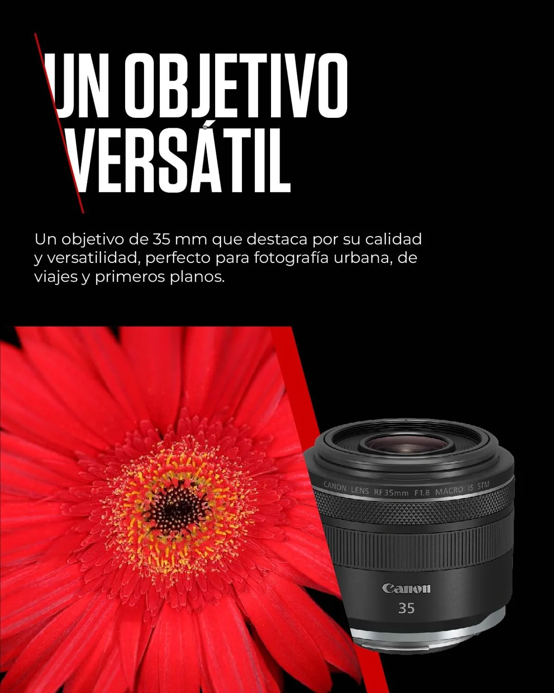 Canon RF 35mm F1.8 Macro IS STM — imagen 3