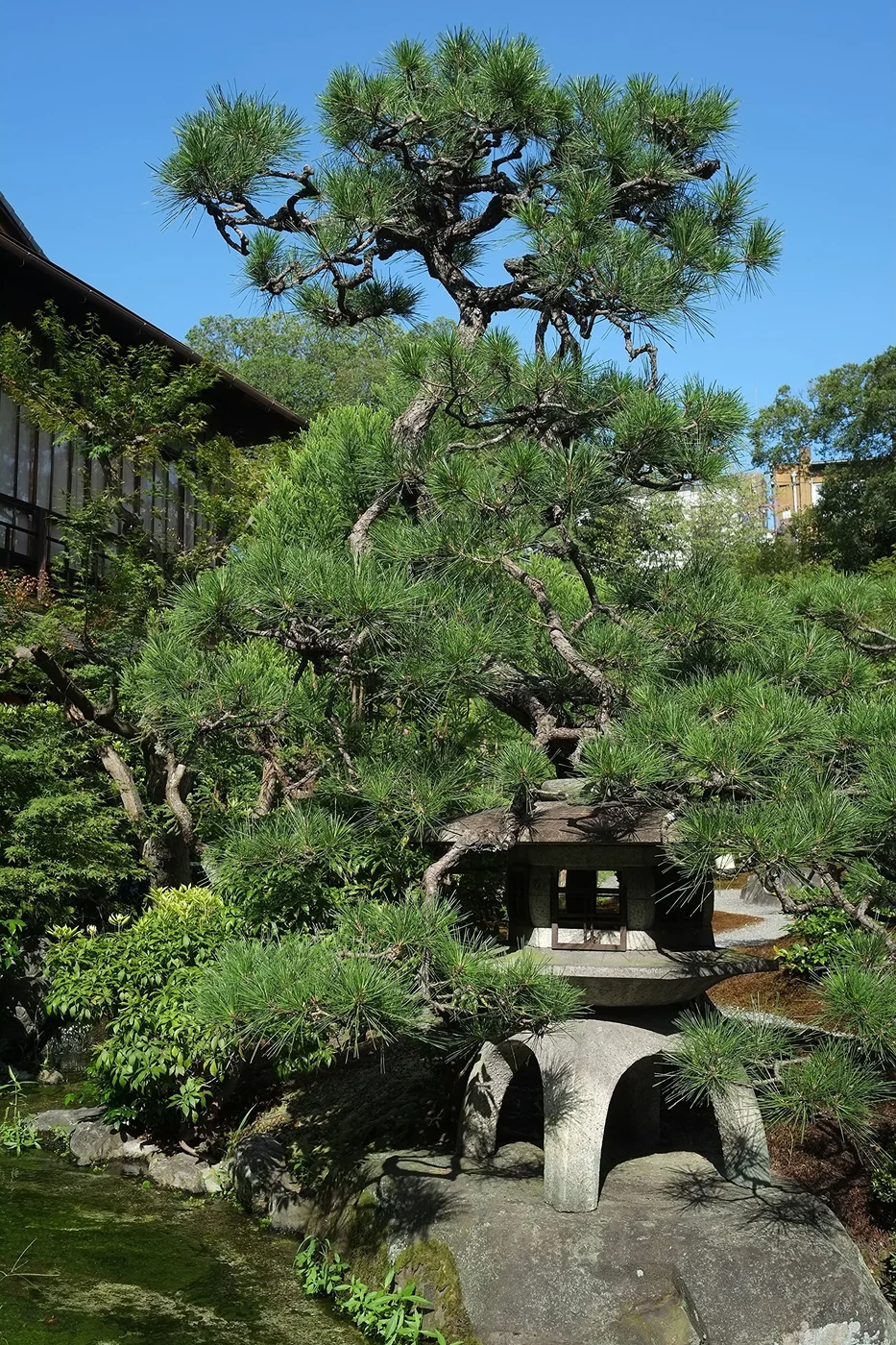 FUJINON XF23mm f/1.4 R — imagen 3
