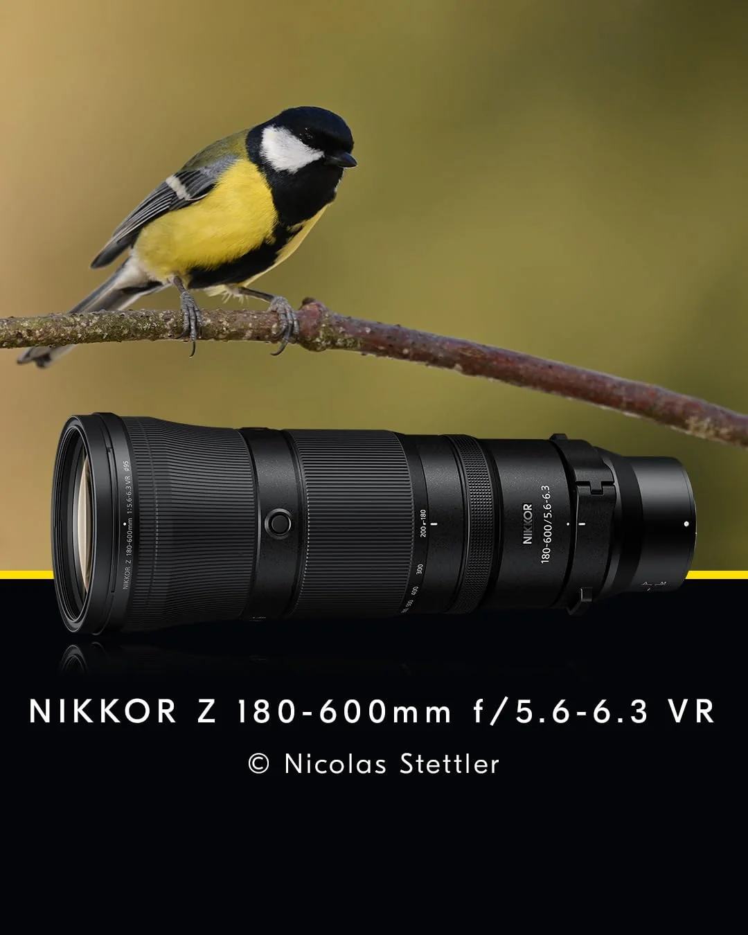 NIKKOR Z 180-600mm f/5.6-6.3 VR — imagen 2