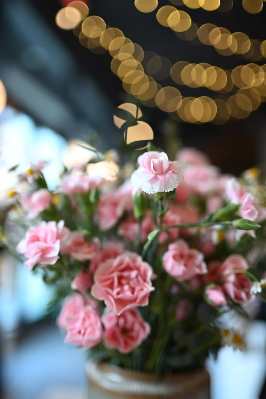 NIKKOR Z 35mm f/1.4 — imagen 3