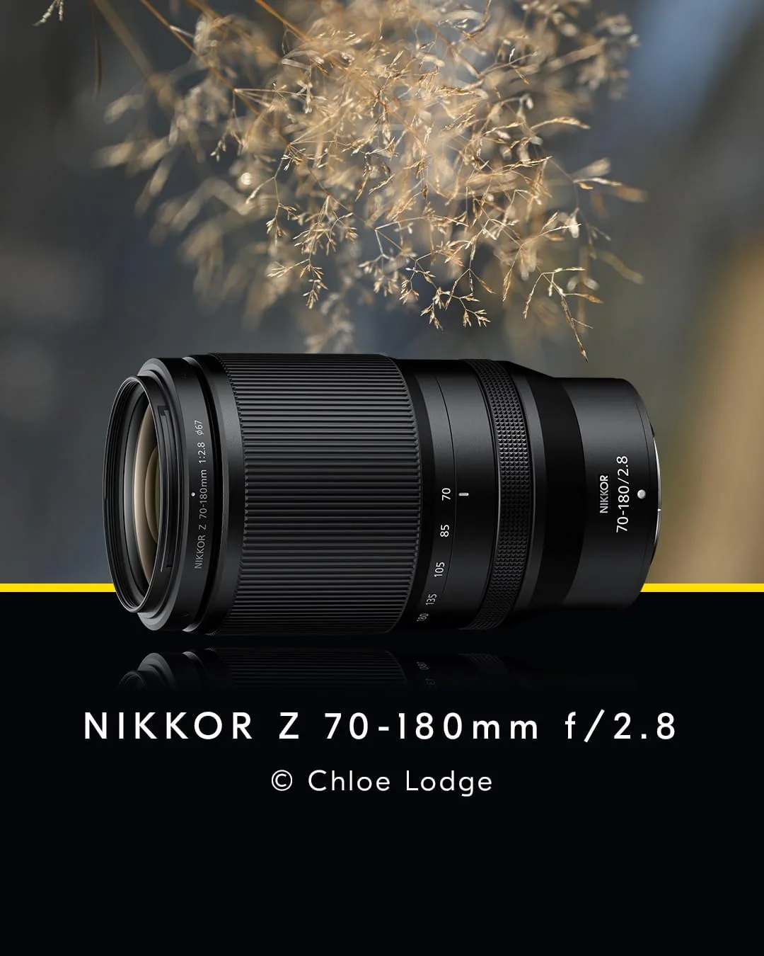 NIKKOR Z 70-180mm f/2.8 — imagen 2