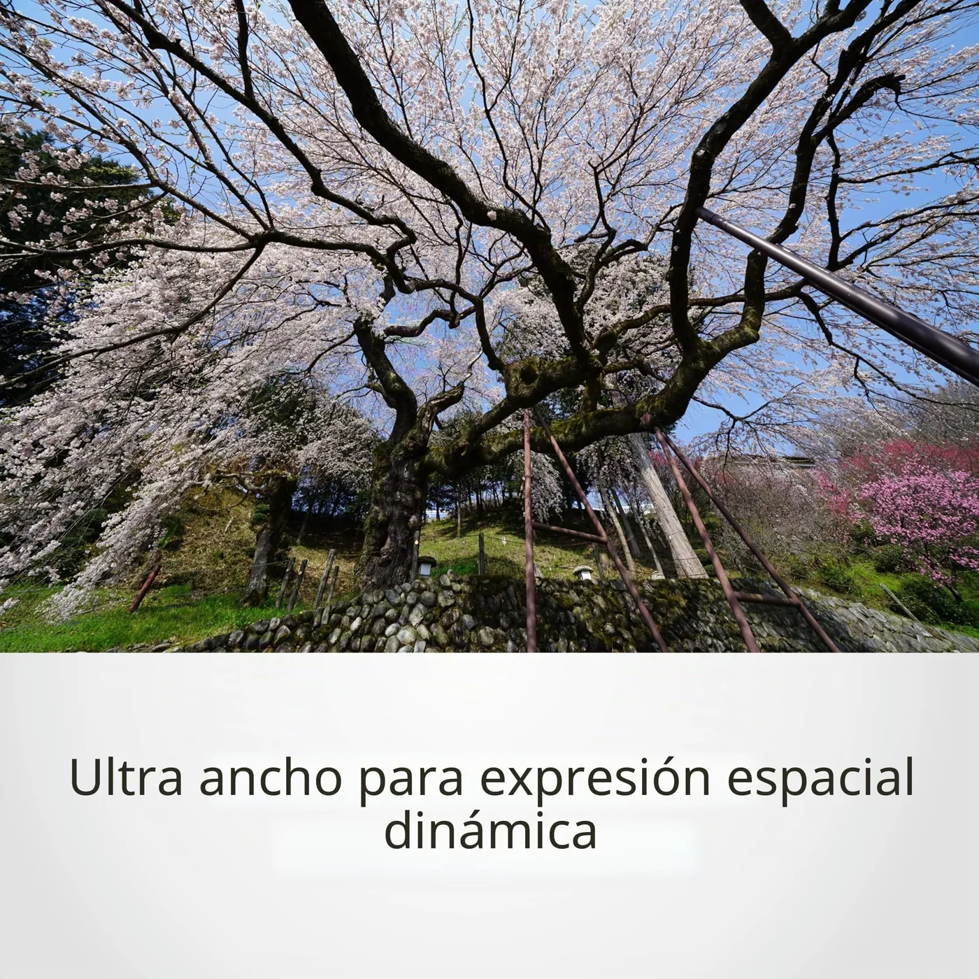 Sony FE 12-24mm F4 G — imagen 3